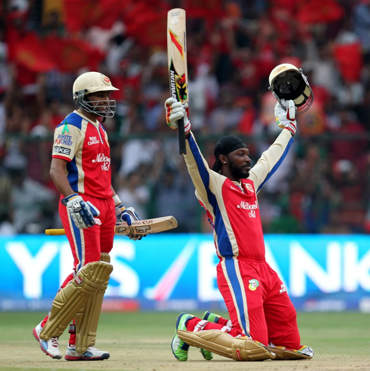 Top 10 Highest Individual Scores in IPL History